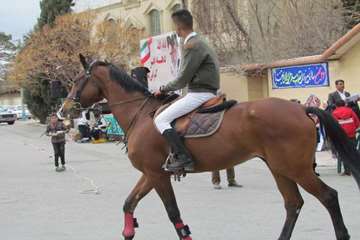 برگزاری جشنواره عشایری به مناسبت دهه مبارک فجر از لنز دوربین اداره کل دامپزشکی استان